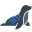 Foca Upscaler logo