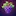 GrapeGPT AI Wine Assistant logo