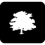OdysseyGPT logo