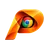 ProxyCeptor logo