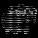 Scrapybara logo