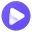 vid2vid logo
