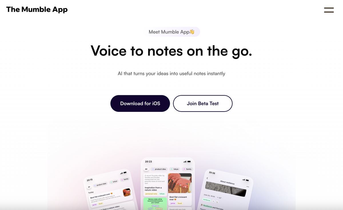 Mumble Note screenshot