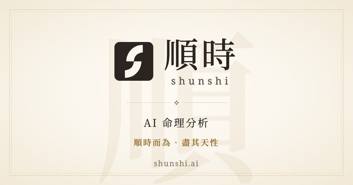 Shunshi AI screenshot