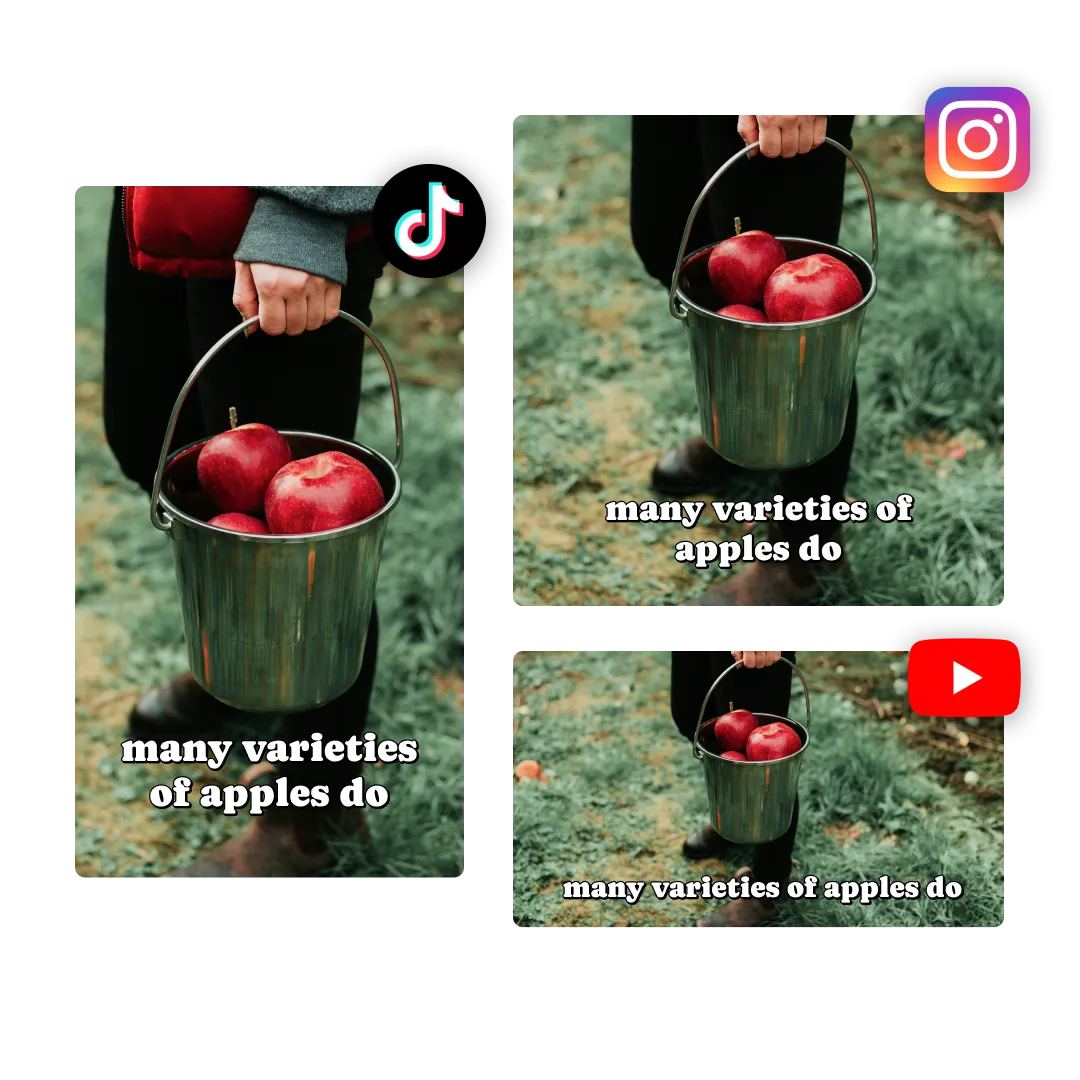 VEO4 AI Video Generator screenshot
