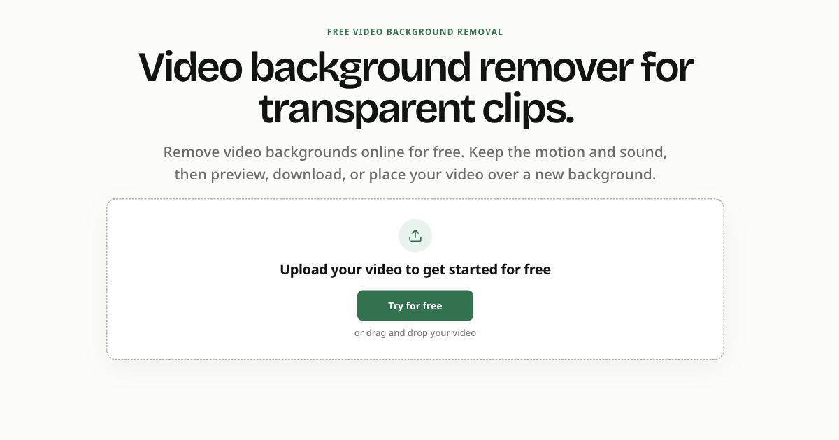 VideoBGRemover screenshot